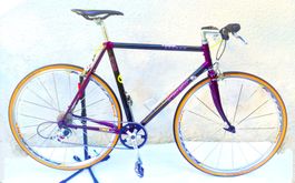 TREK 2120 Carbon Rennrad Urban Racer 1x10s - custom Edition