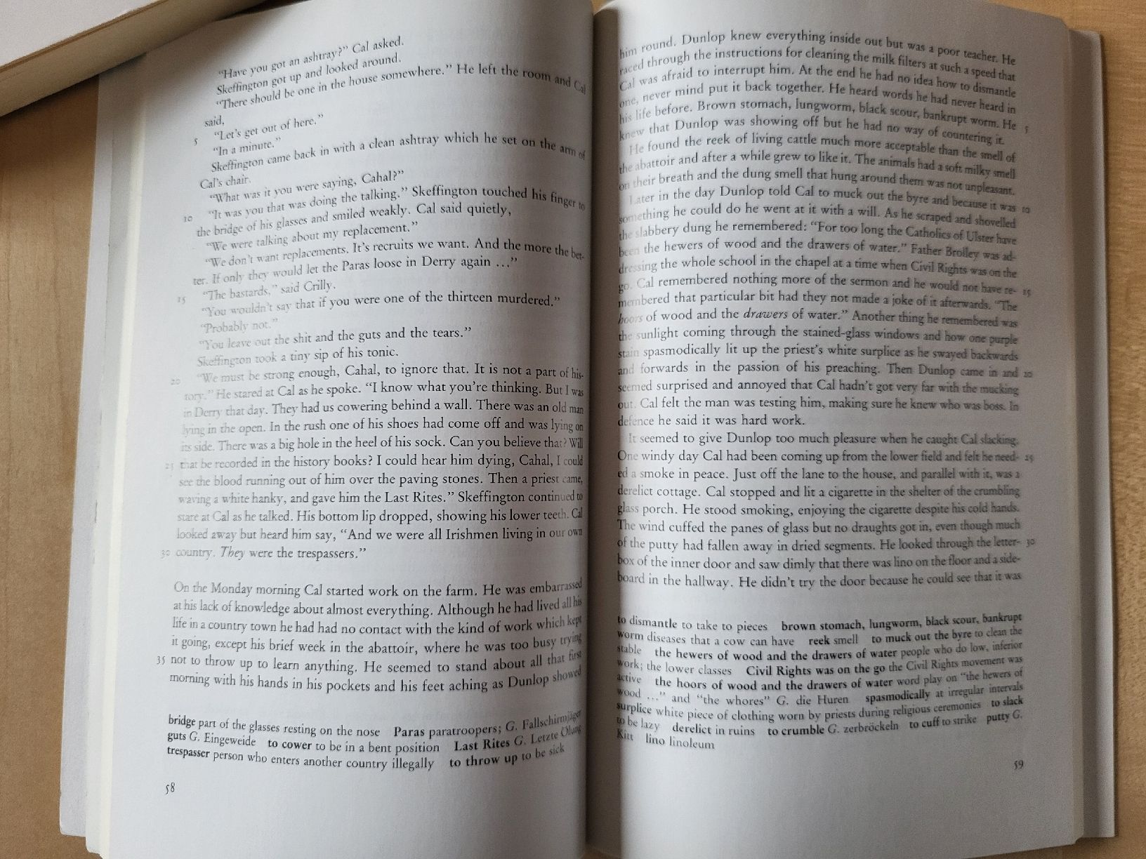 Libri: Cal von Bernard Mac Laverty – Usato da Zürich venduto da Billy0808 3