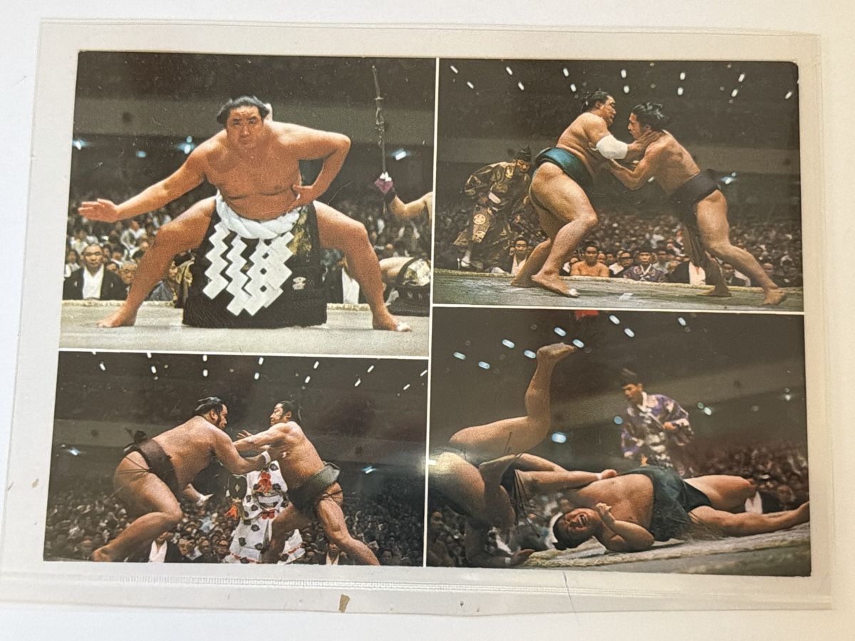 Cartoline postali: Sumo Ringer Ansichtskarte – Usato da Lufingen venduto da Rac0