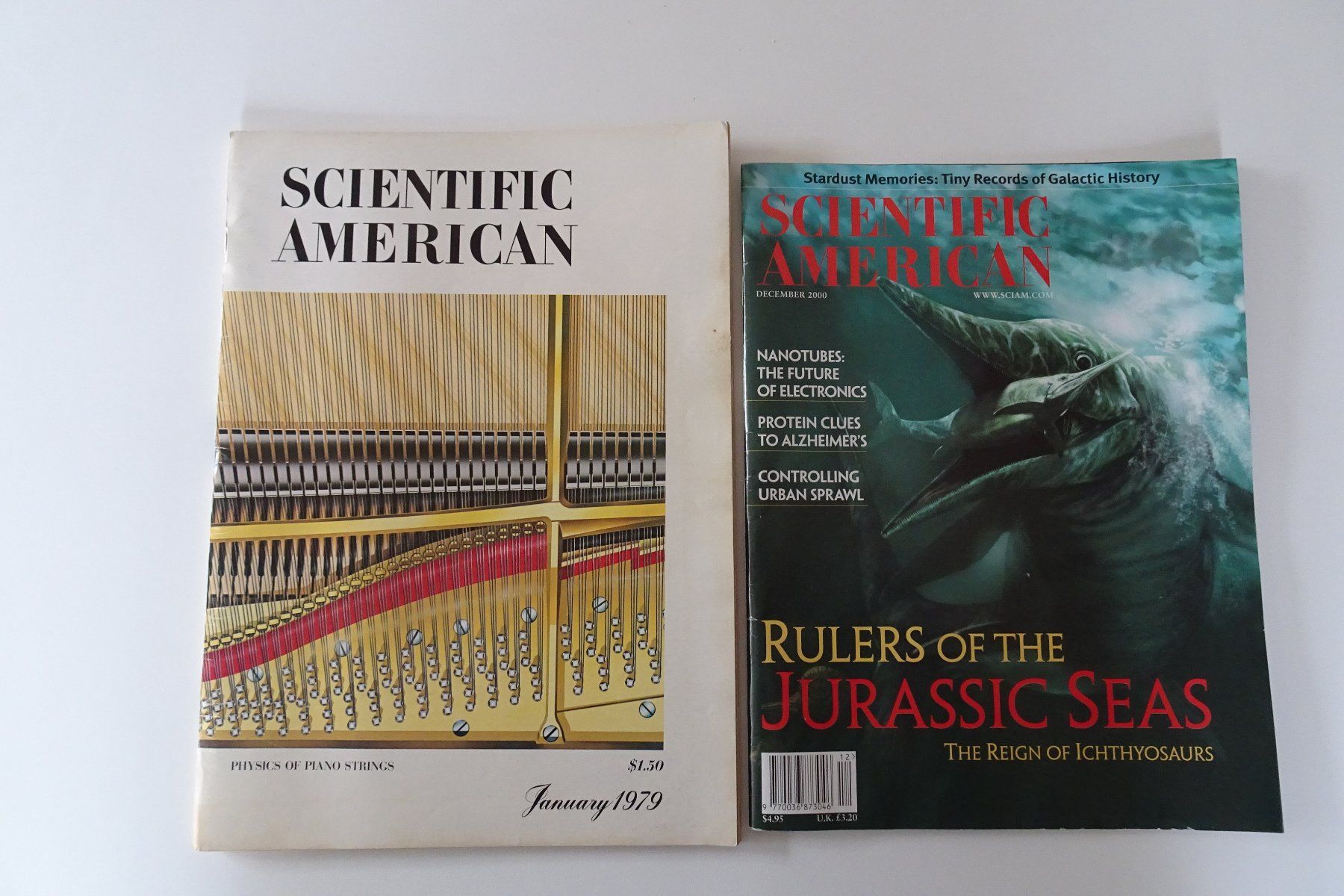 Riviste & Magazine: Scientific American – Usato da Andwil TG venduto da bau_5rnw