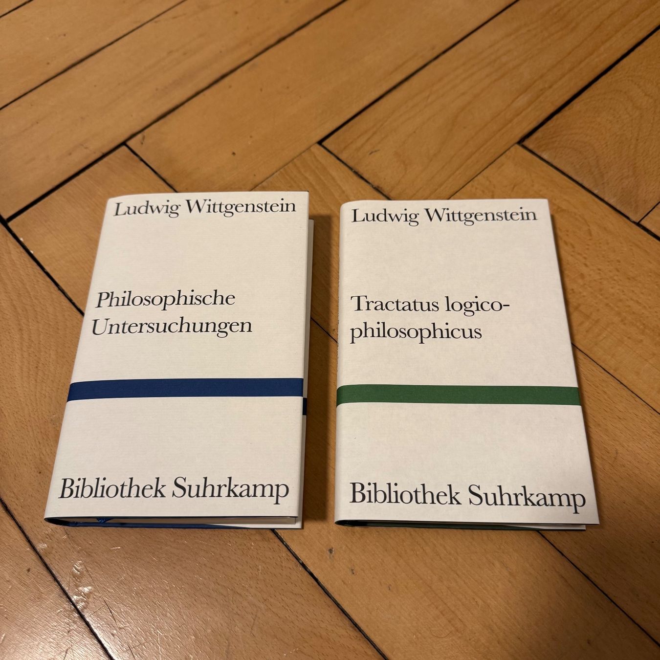 Libri: Wittgenstein: Tractatus & Untersuchungen – Usato da Luzern venduto da philippbrl