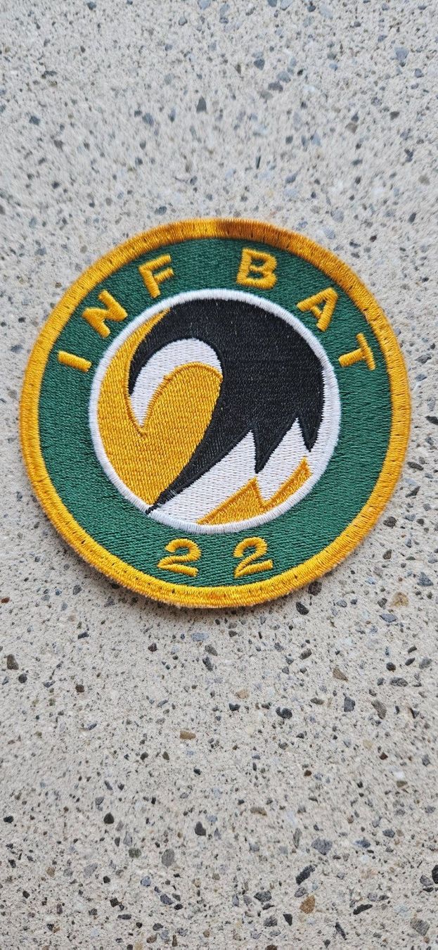 Schweizer Armee Placchette & Badge: *** Badge Rund Inf Bat 22  ***  – Usato da Riedholz venduto da fr_sIruP