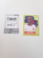 Panini Sticker USA12