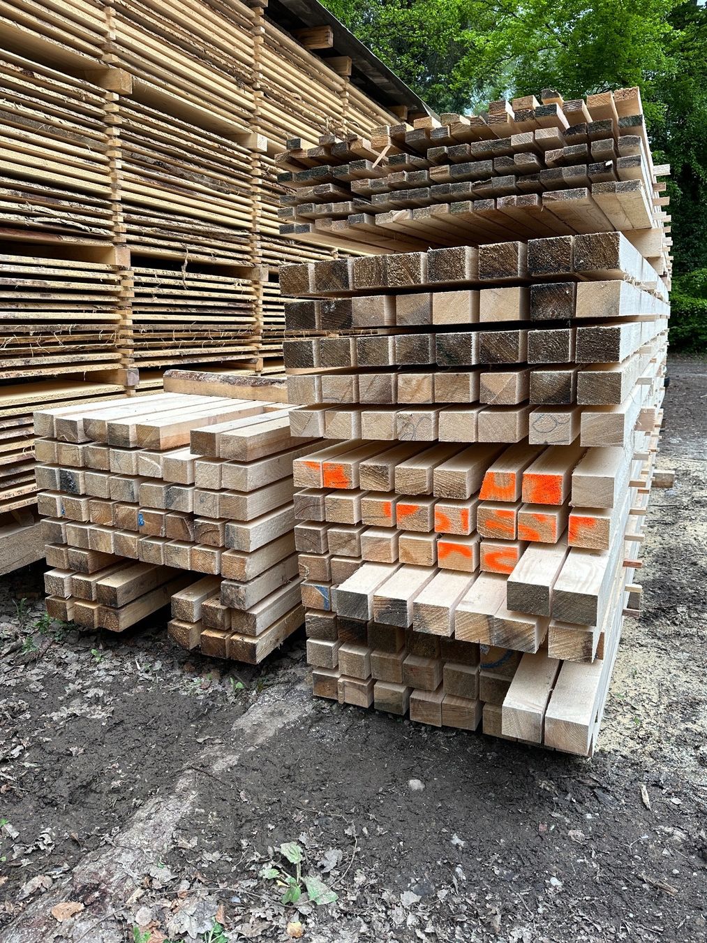 Holzartikel: Balken / Doppellatten 60x60mm, Schweizerholz – Neu (gemäss Beschreibung) aus Wallisellen von CH-Holz-CH 3