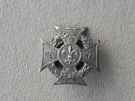 Abzeichen Pfadfinder Pfadi Boy Scouts Emblem CZU WaJ