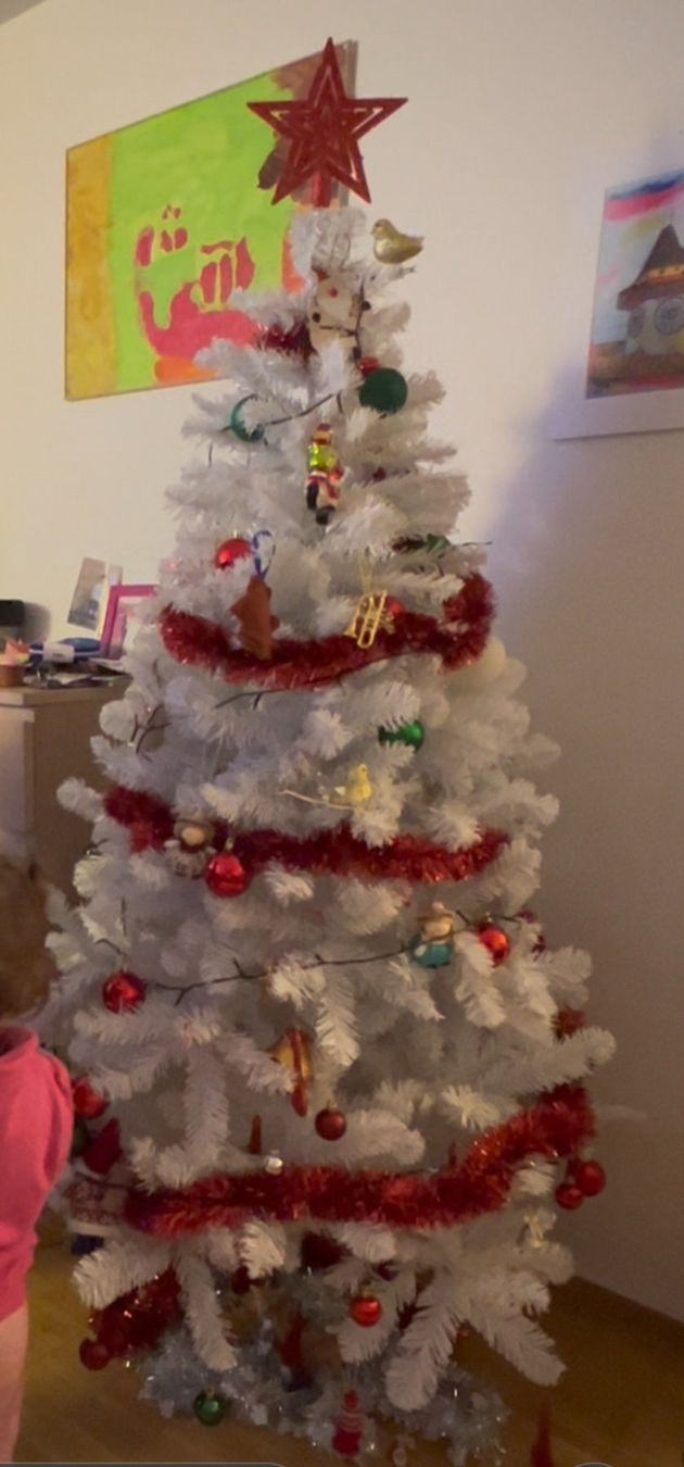 Tutte le decorazioni: Weihnachtsbaum – Usato da Zürich venduto da Aorus 2