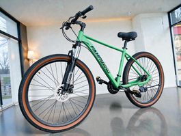 29 Zoll Hardtrail Velo 21-Gang Shimano Parts MATT-Grün NEU