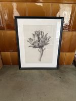 Drei gerahmte Bilder mit botanischen Motiven und Text