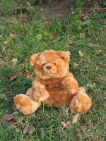 Witzige Handpuppe Bär