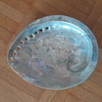 Prachtvolle XXL Abalone Muschel, ca. 17 cm,  poliert
