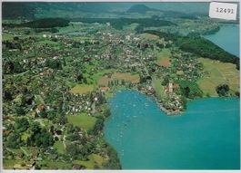 Flugaufnahme Spiez Spiezerbucht