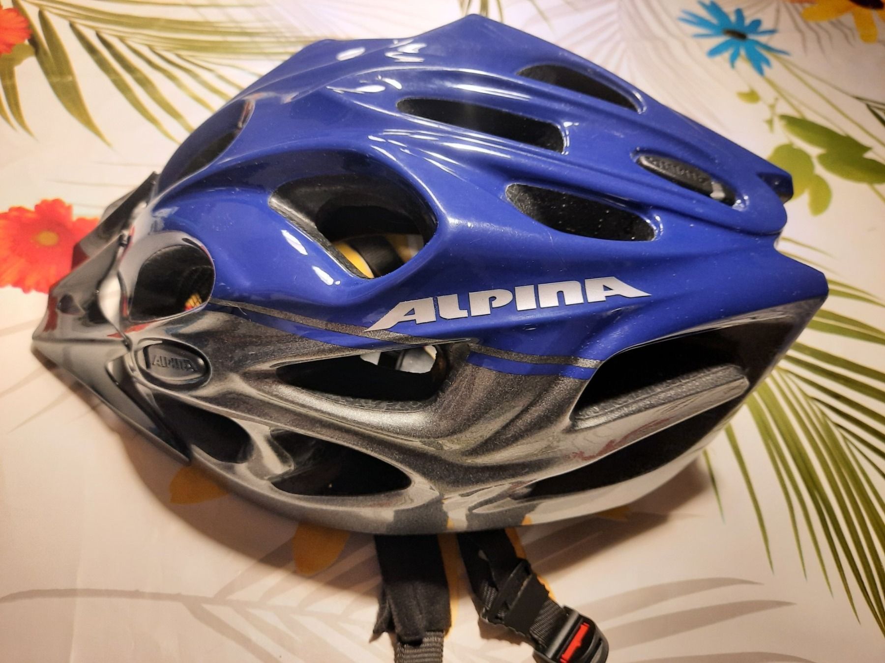 Alpina Caschi: Fahradhelm,Velohelm – Usato da Wattwil venduto da Parase