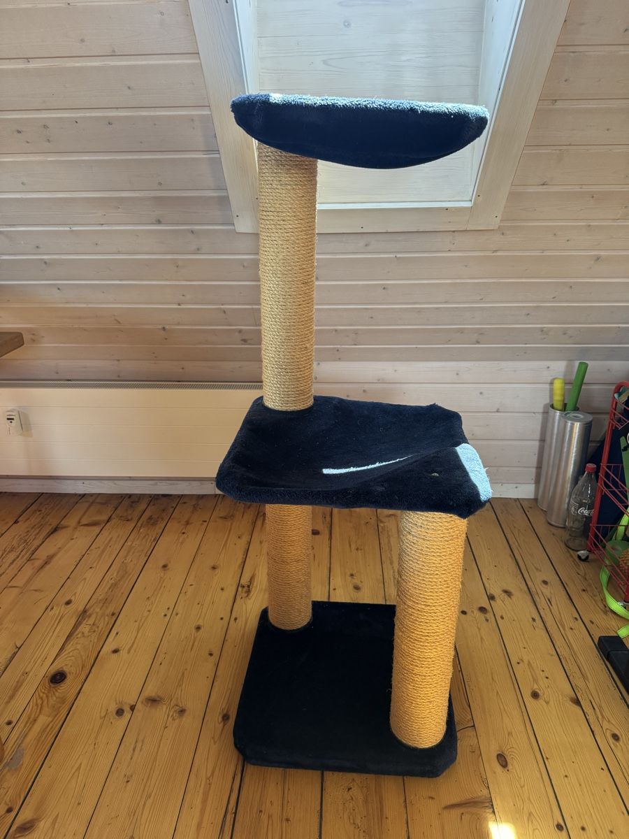 Tiragraffi: Katzenbaum  – Usato da Bern venduto da ava_l8tk