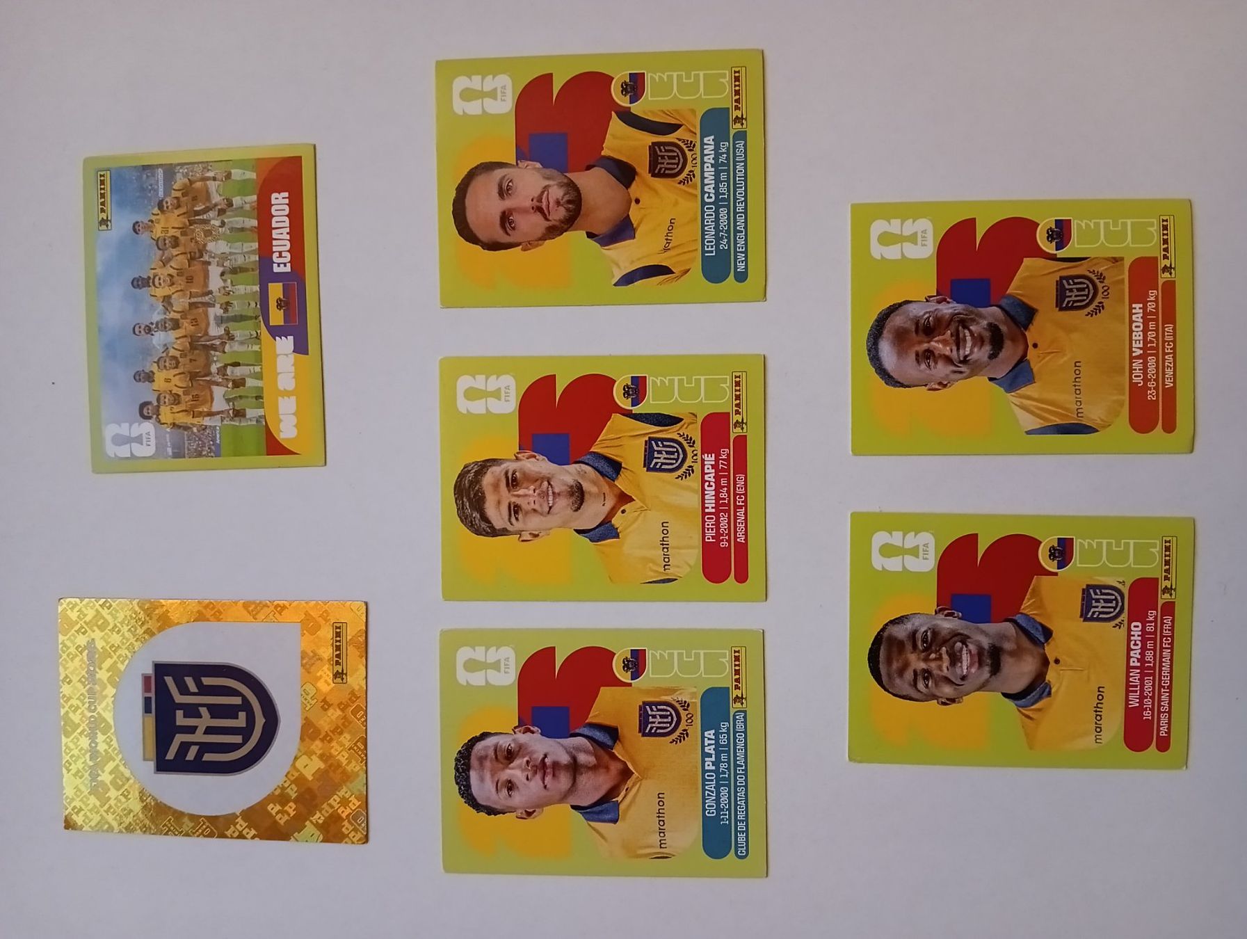 Panini Carte collezionabili: Panini 2026 Ecuador – Nuovo (secondo la descrizione) da Wetzikon ZH venduto da stekun84