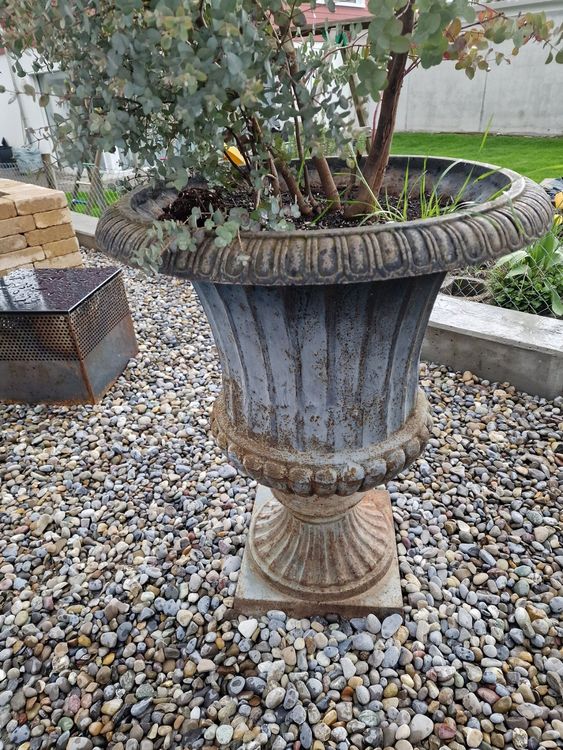 Shabby riesen Amphore antik Pflanzkübel vintage Pflanzgefäss Kaufen