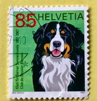 Nr.1227 Stempel Sondermarken Berner Sennenhund,graue 