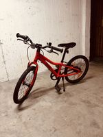 FLiZZi 20 Zoll mit Riemenantrieb
