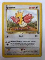 Spearow - Jungle - Pokemon