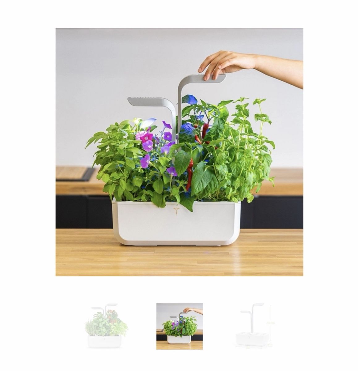 Vasi per fiori: Potager d’intérieur Véritable Smart – Usato da Corsier-sur-Vevey venduto da Ramee1 4
