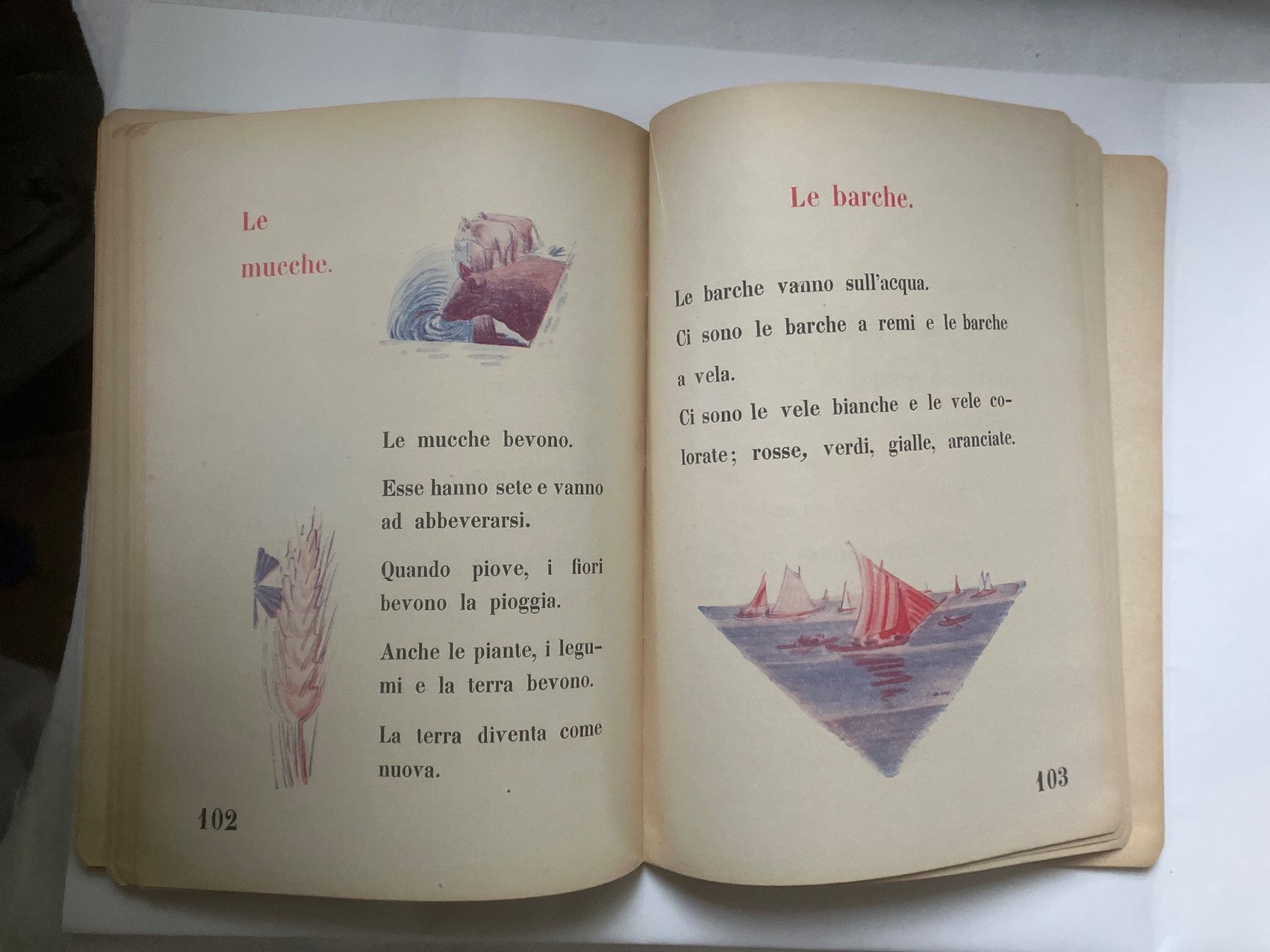 Libri: il libro per i bambini – Usato da ZUERICH venduto da Carolus1 8