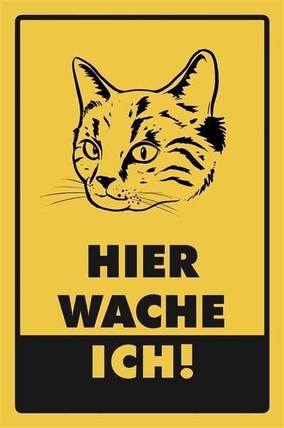 Schilder: Blechschild-KATZE-HIER WACHE ICH-GELB/SC – Neu und originalverpackt aus Rupperswil von big-one-sale