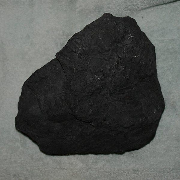 Minerali & Pietre curative: Schungit Rohstein – Nuovo (secondo la descrizione) da Walenstadt venduto da vkt_qc8d 2