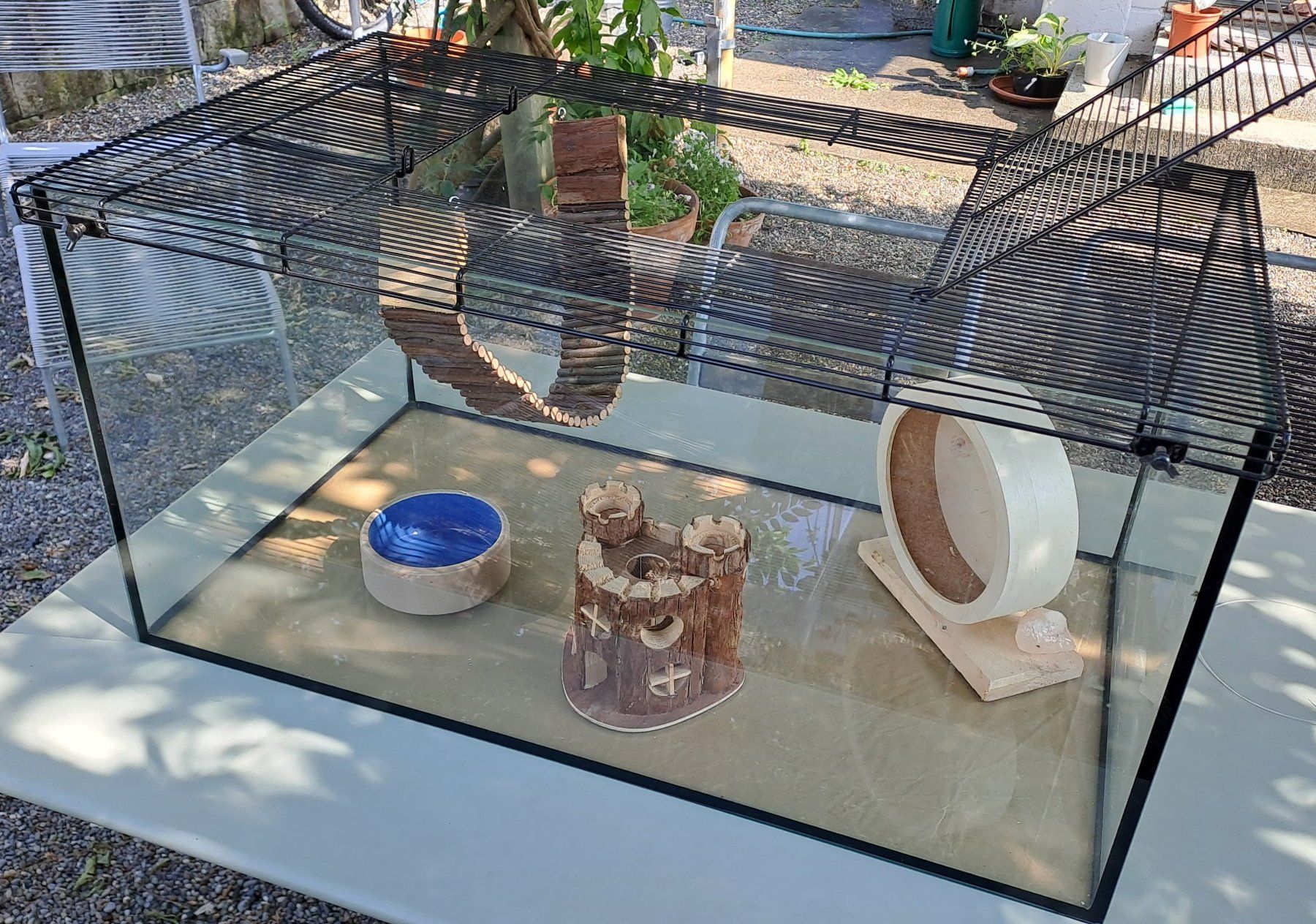 Gabbie, trasporto & Sicurezza: Hamsterheim/Hamsterkäfig Glas – Usato da Luzern venduto da Ste778 1