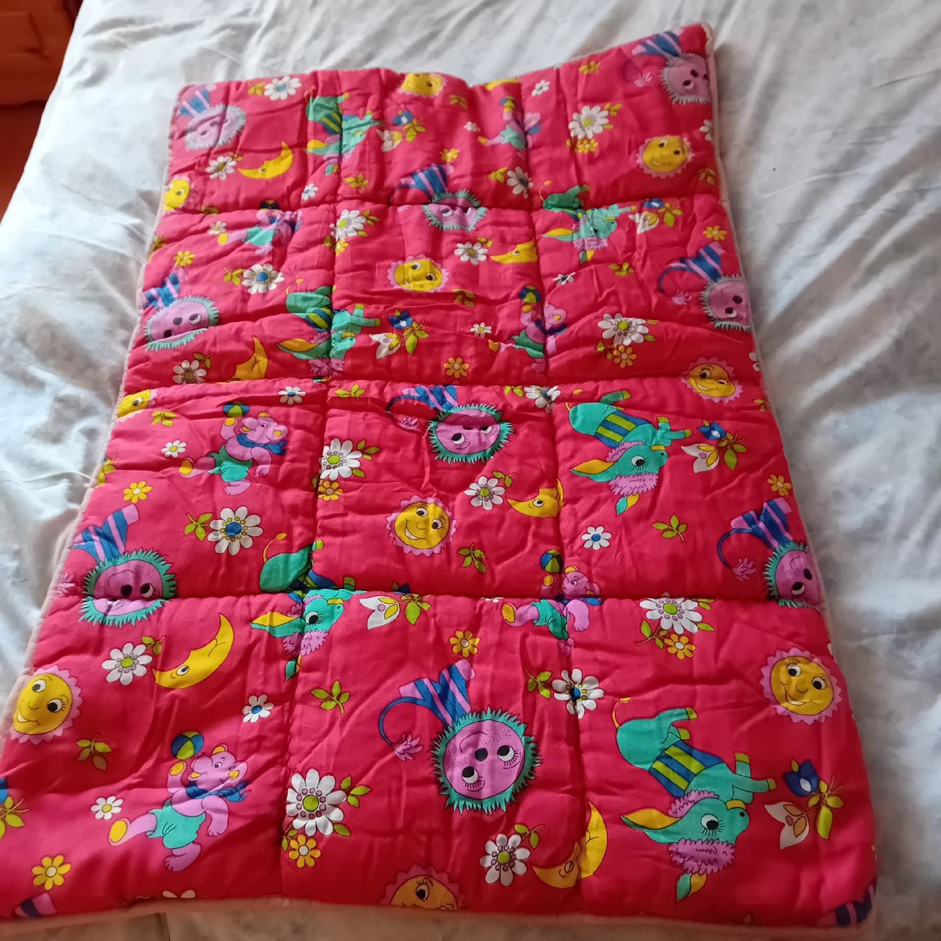 Coperte: Krabbeldecke, Steppdecke Babies – Usato da Witterswil venduto da hele04