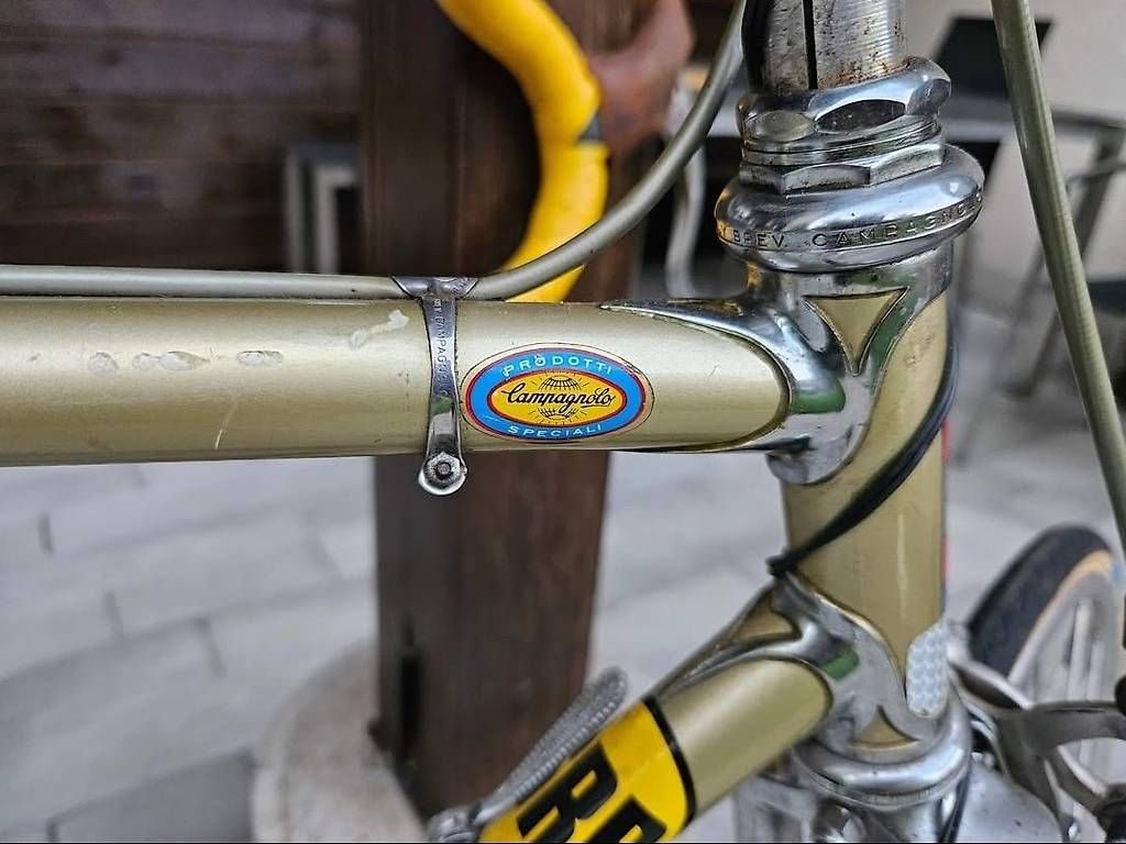 Campagnolo Biciclette: Rennvelo von Campagnolo – Usato da Winterthur venduto da Claudia8888 1