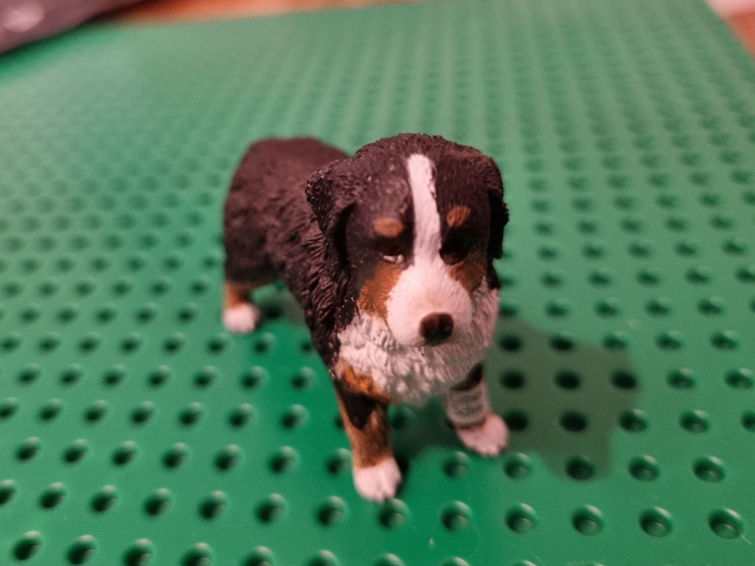 Schleich Statuette: Schleich Berner Sennenhündin stehend – Nuovo e nell'imballaggio originale da Basadingen venduto da NekoBricks 3