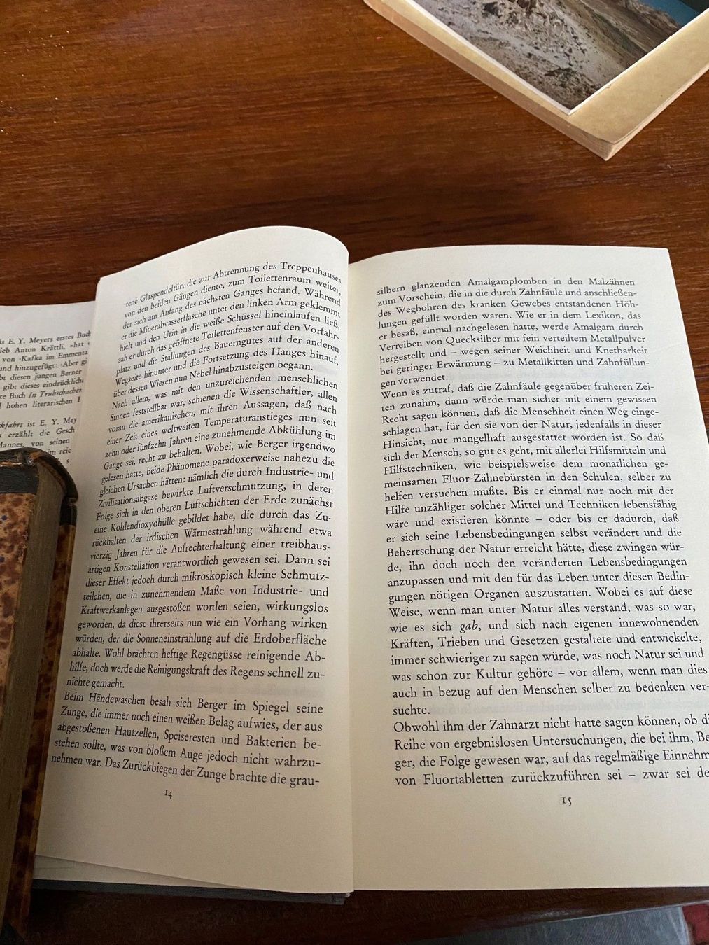 Libri: E. Y. Meyer Die Rückfahrt – Usato da Zürich venduto da 2013tg 5