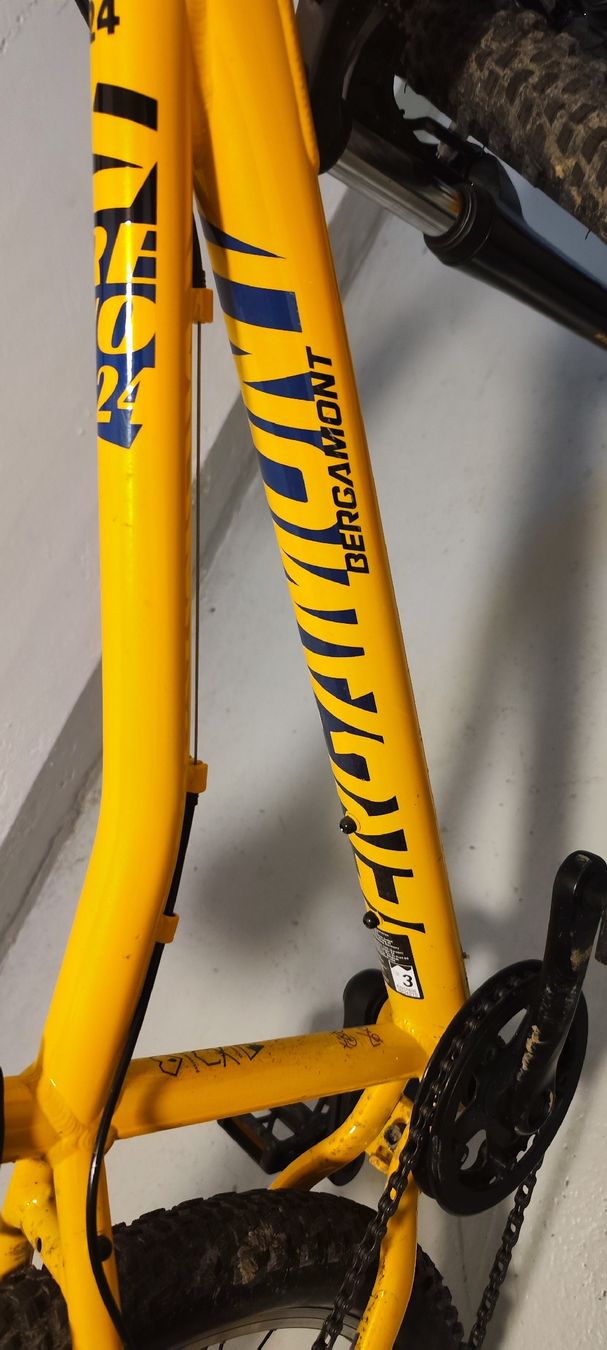 Bergamont Biciclette: Bergamont Revox 24 – Usato da Nebikon venduto da tiagoritz 5