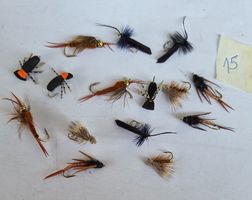 20  Verschiedene Fliege  Nymphen