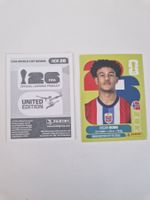 Panini Sticker NOR20
