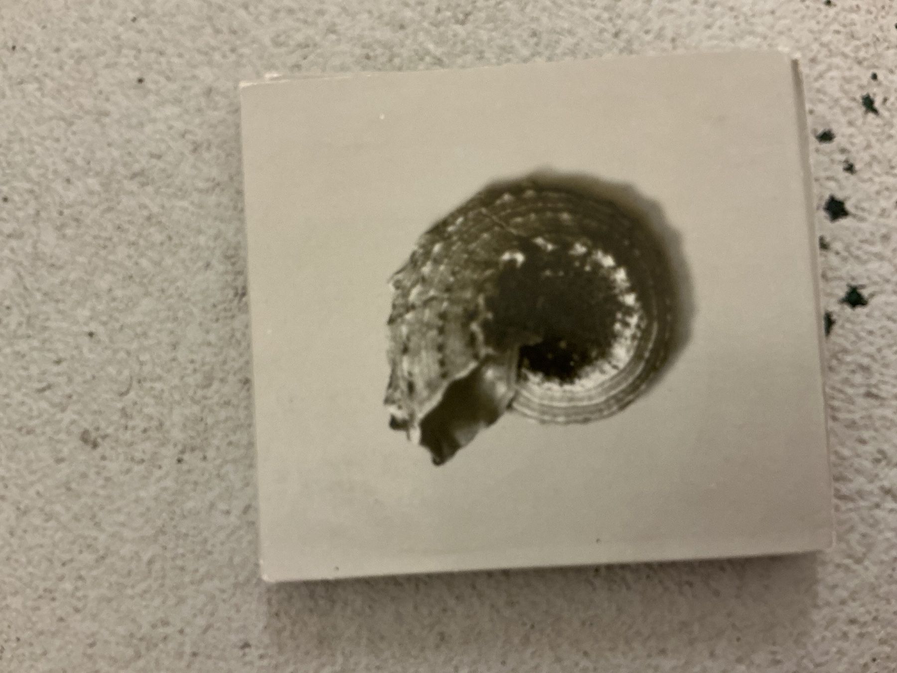 CDs: Of Mice & Men CD - Restoring Force – Gebraucht aus Winterthur von Tumko_7_Vinyl