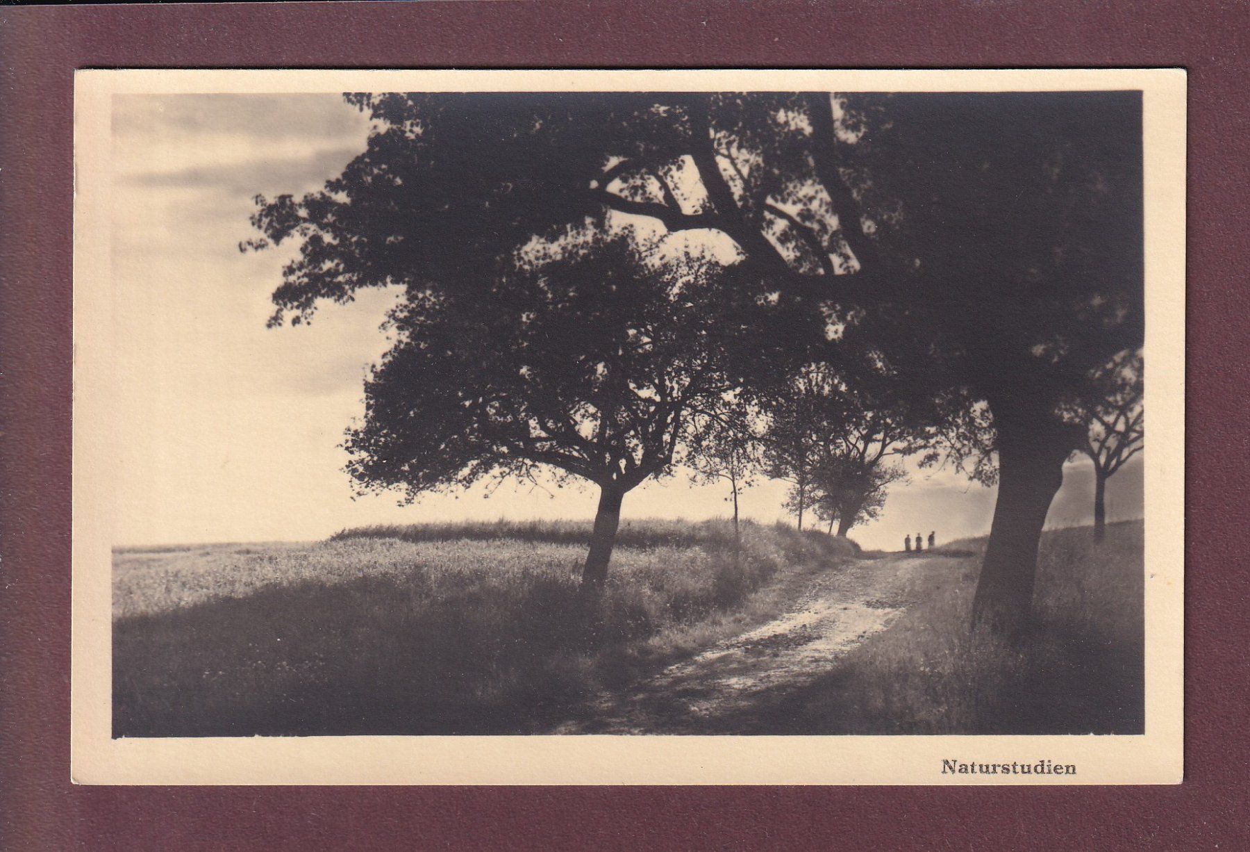 Cartoline postali: Abendstimmung bei BÜSINGEN – Usato da Pully venduto da nicecards