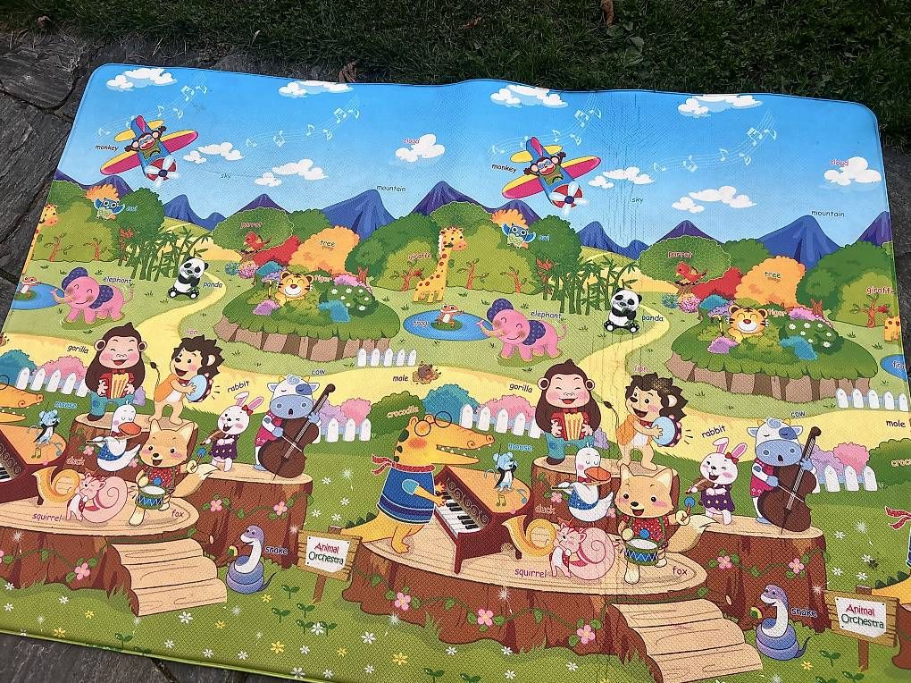 Tapis de jeu: Spielmatte Dwinguler Orchestra 130 x 190 cm – D'occasion à Luzern par Sportstudentin 1