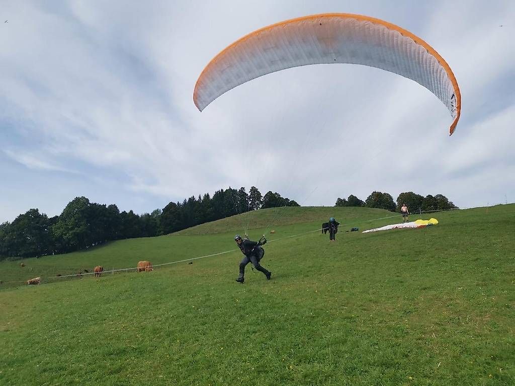 Sport dell'aria & Aquiloni: Gleitschirm-Komplettset: Gradient Avax XC3  – Usato da Männedorf venduto da ursreiner74 1