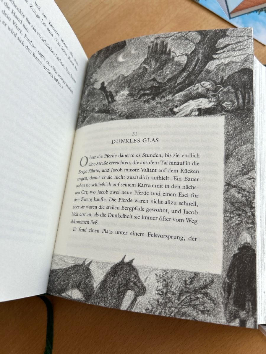Bücher: Cornelia Funke - Reckless - Steinernes Fleisch, Top Zustand! – Neu (gemäss Beschreibung) aus Thun von Ganesh03 3