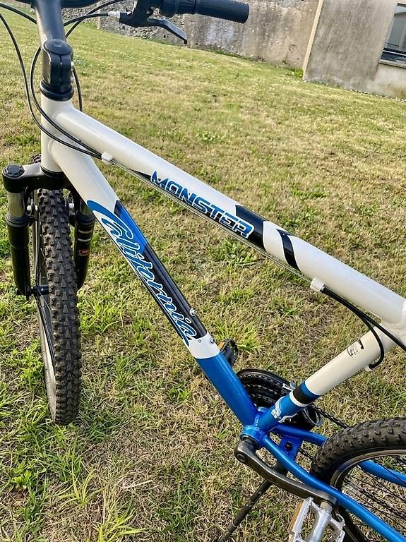 Vélos: À vendre : 3 vélos d'occasion – D'occasion à Borex par SandraDA 1