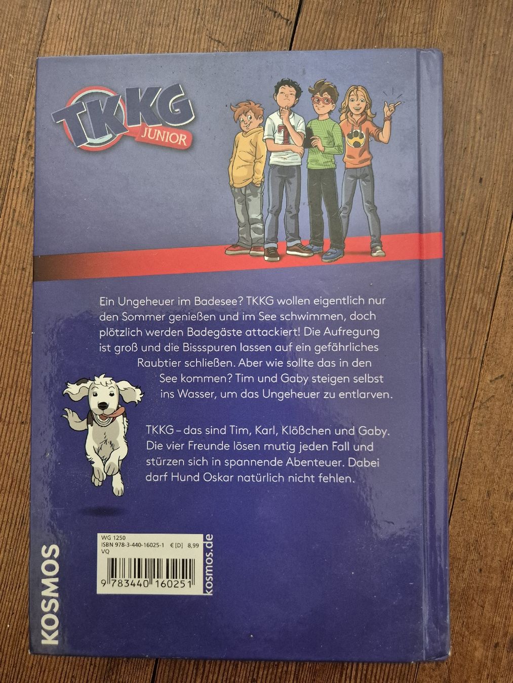 Libri: TKKG Junior – Usato da Frenkendorf venduto da naibaf01 1
