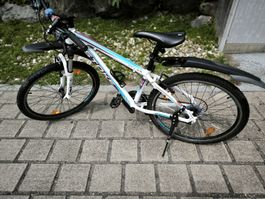 Mountainbike 