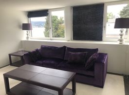 Luxus Samtsofa 2-3 Sitzer in Violett mit Kissen top Zustand 