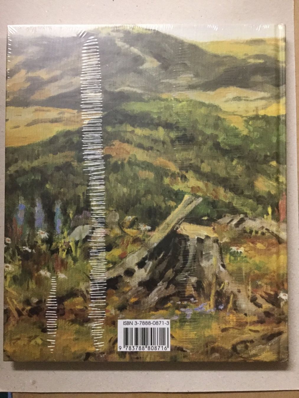 Libri: Schussbuch: Jagdaufzeichnungen – Nuovo (secondo la descrizione) da Sarnen venduto da Livres 1