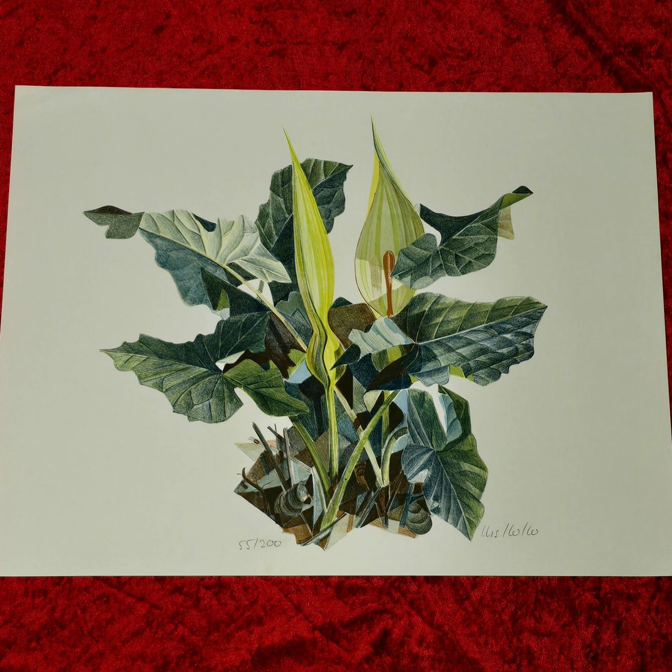 Grafica & Litografie: Original-Lithografie. Handsigniert&nummeriert – Usato da Reinach BL venduto da Pendling