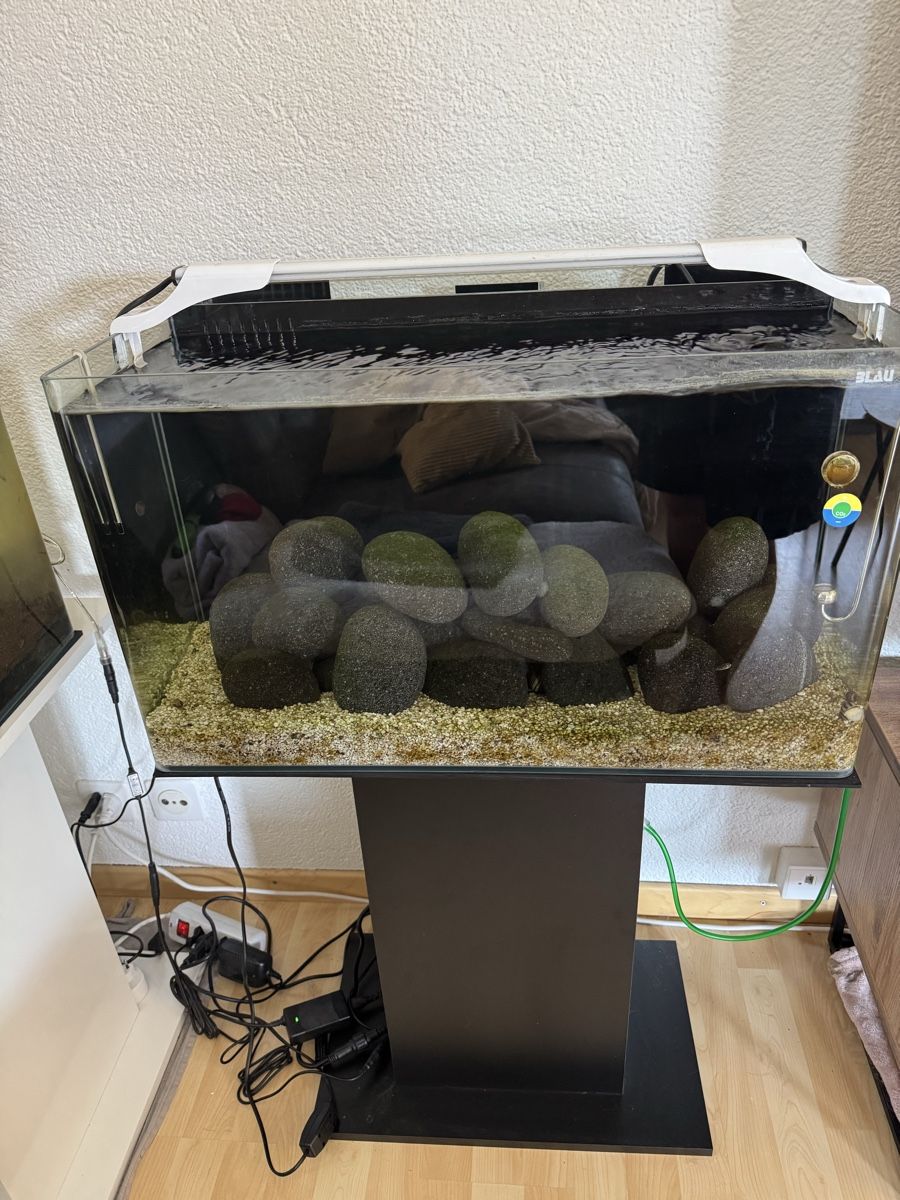 Aquarium: Aquarium Komplettset mit Unterschrank – Neu (gemäss Beschreibung) aus Lohn SH von FourOnePiece_4