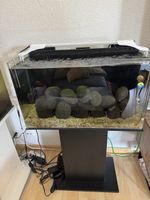 Aquarium Komplettset mit Unterschrank