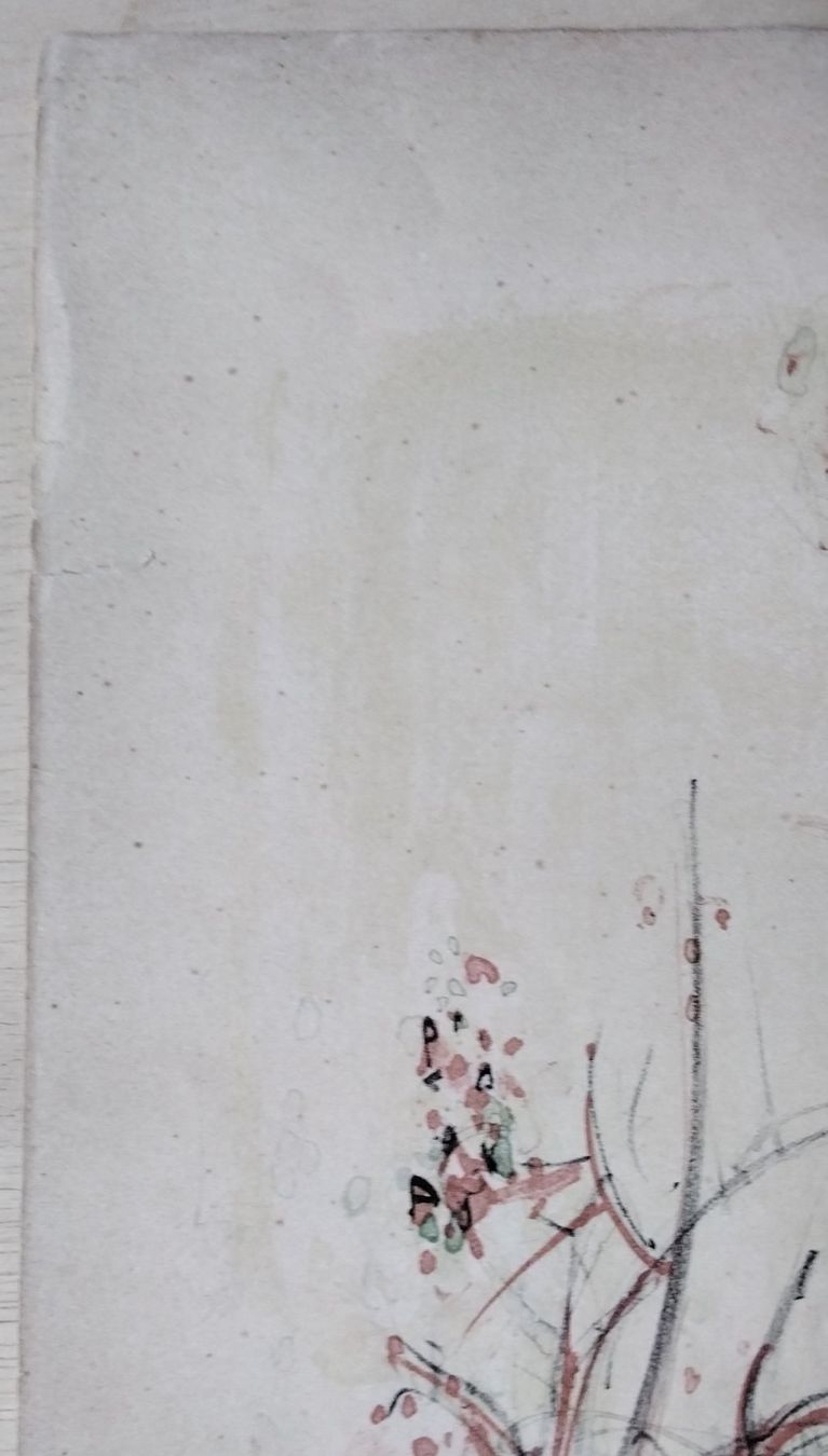 Grafica & Litografie: R. Zender Lithographie 'Probe' signiert – Usato da Cavigliano venduto da zamamasa 2