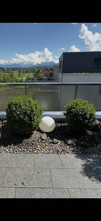 Plantes & graines: Buchsbaum 2 Stück – D'occasion à Neuenkirch par Bitsa 1