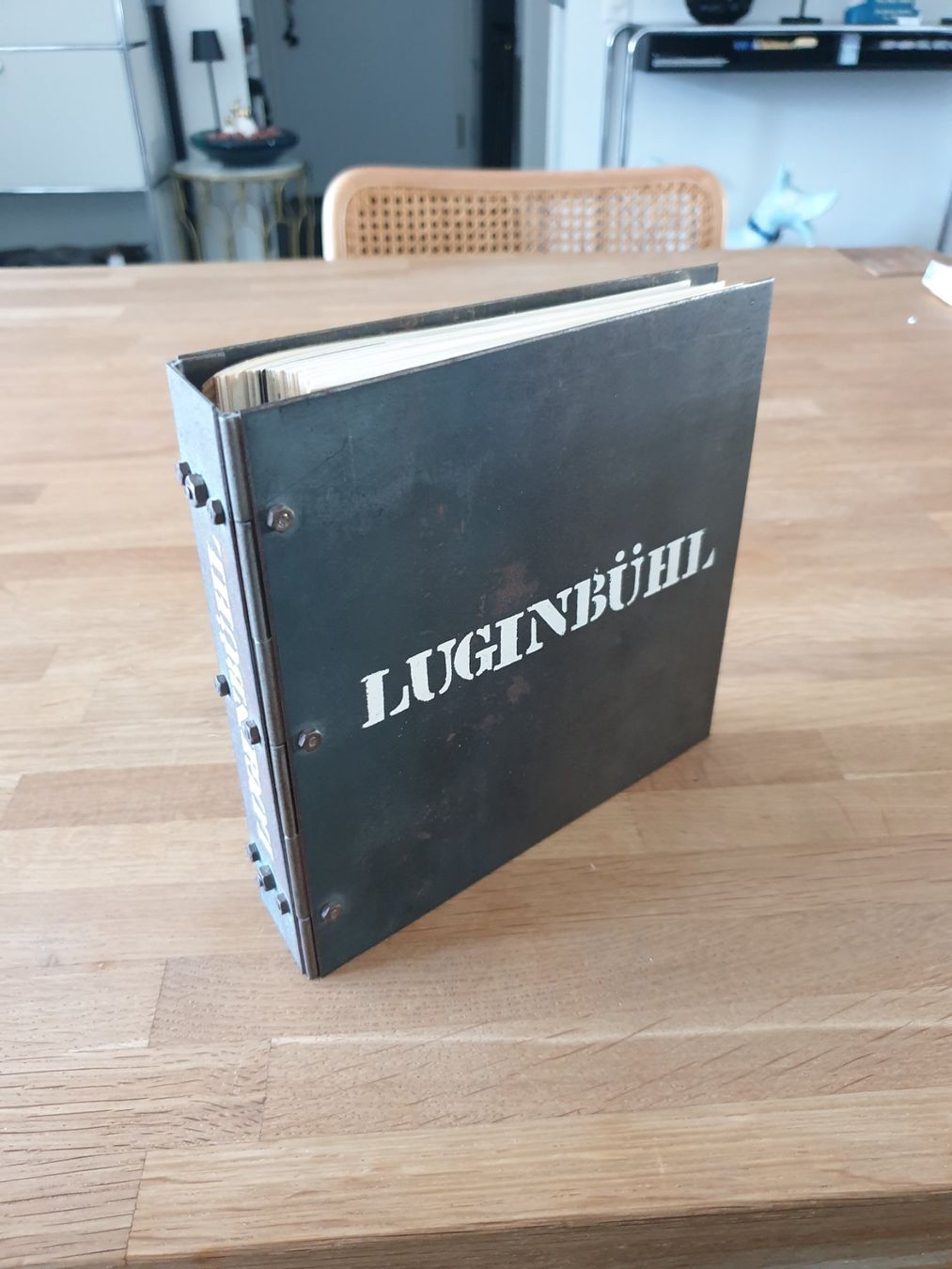Libri: BERNHARD LUGINBÜHL RINGORDNER EISENDECKEL – Usato da Locarno venduto da ICARO8 1